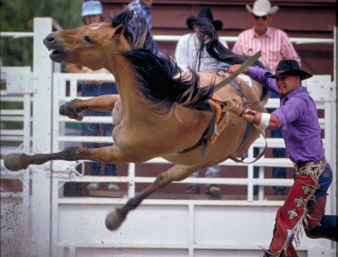 rodeo bronc western life Western photography colorado photographer cowboy horse equestrian